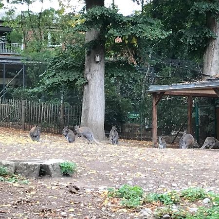 Ferienhaus Am Park Am Roehrensee Bayreuth Bagian luar foto