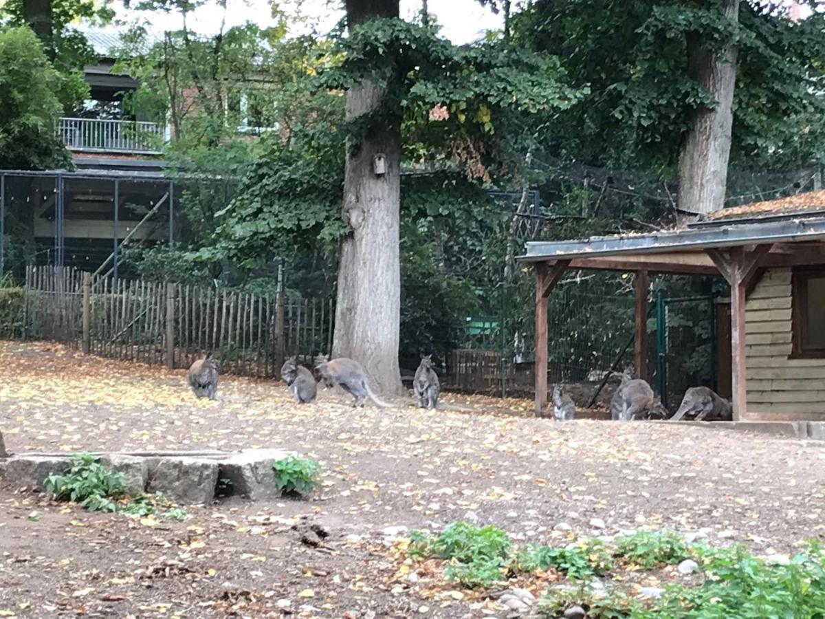 Ferienhaus Am Park Am Roehrensee Bayreuth Bagian luar foto